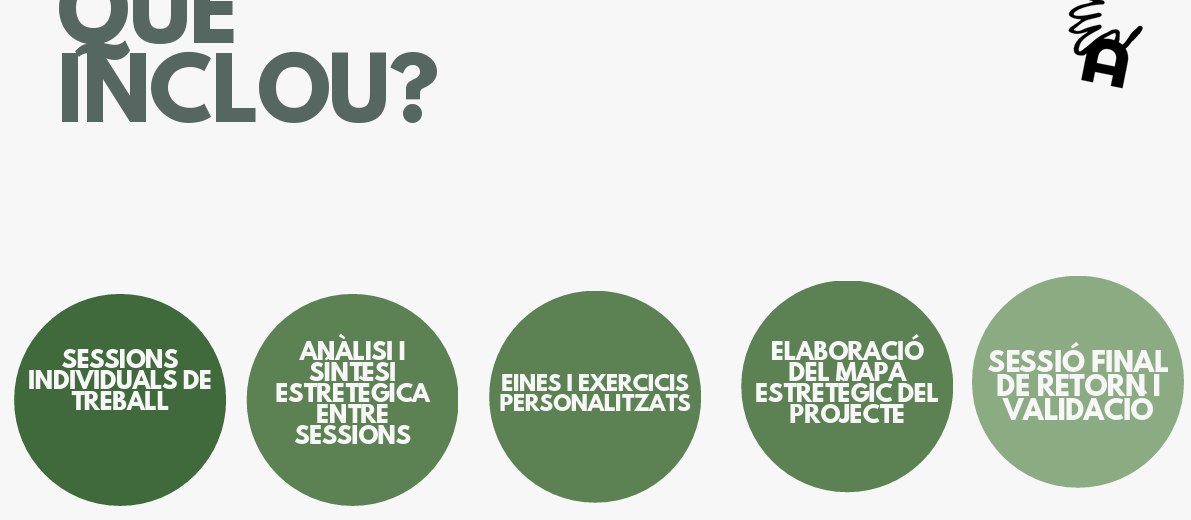 Diapositiva original en català amb els elements inclosos en la consultoria